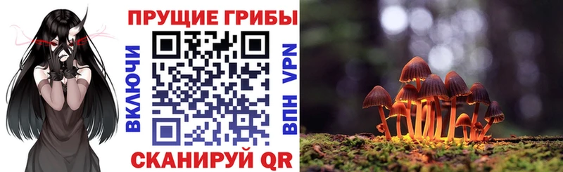 Псилоцибиновые грибы GOLDEN TEACHER  Сычёвка 